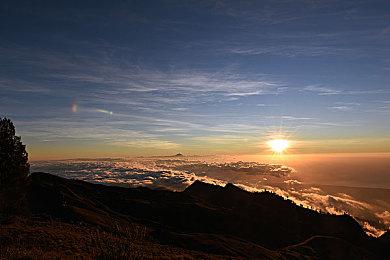 势头强劲！《EA Sports FC 24》首月吸引玩家超1450万人 